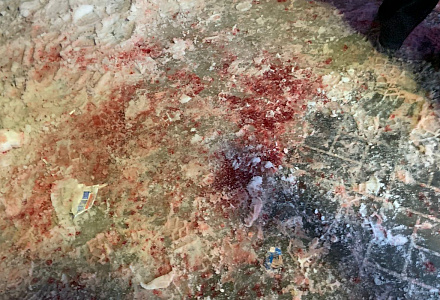 Задержан наркоман, укравший больше сотни яиц